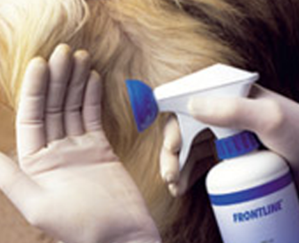 Frontline Spray trin 4