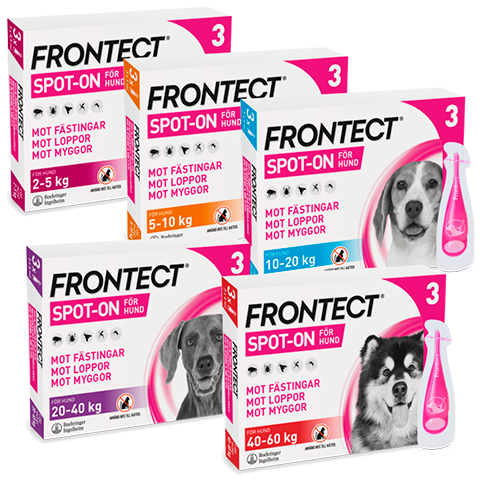 Frontect