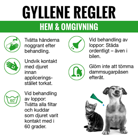 Gyllene regler hemma