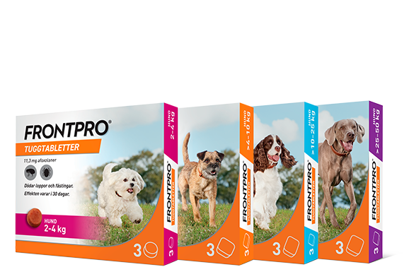 FRONTPRO tuggtabletter - Frihet till kärlek