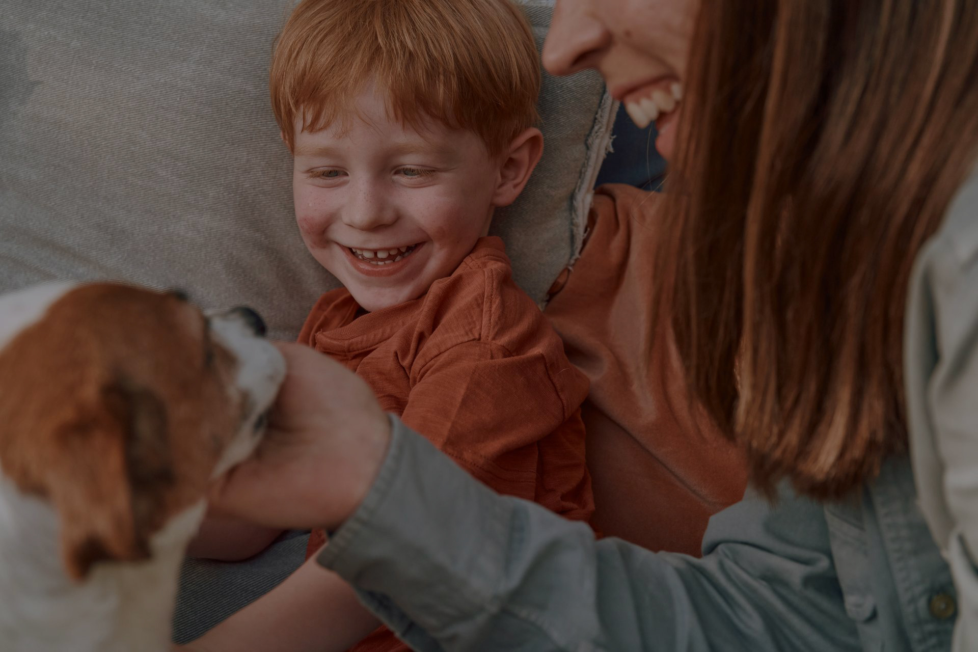 Tuggtabletter mot fästingar och loppor
