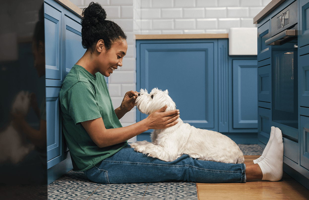 NYHET! Tuggtabletter mot loppor och fästingar för din hund