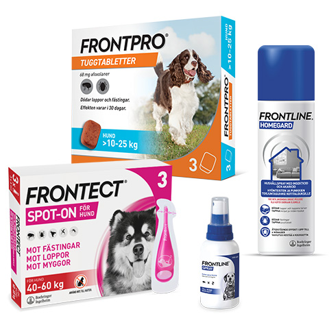 Är ditt husdjur skyddat?