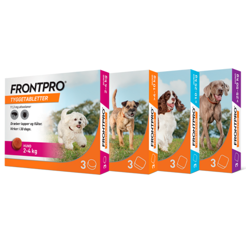 FRONTPRO