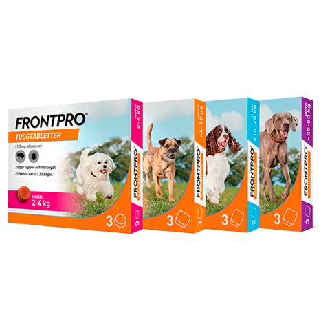 FRONTPRO