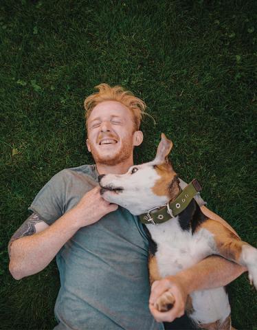 Vad är tuggtabletter mot loppor och fästingar?