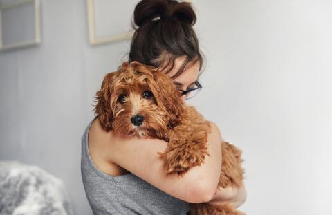 Så här fungerar FRONTPRO tuggtabletter